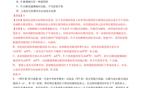 第19讲遗传综合实验分析（练习）（解析版）_2024年新高考资料_1.2024一轮复习_2024年高考生物一轮复习讲练测（新教材新高考）