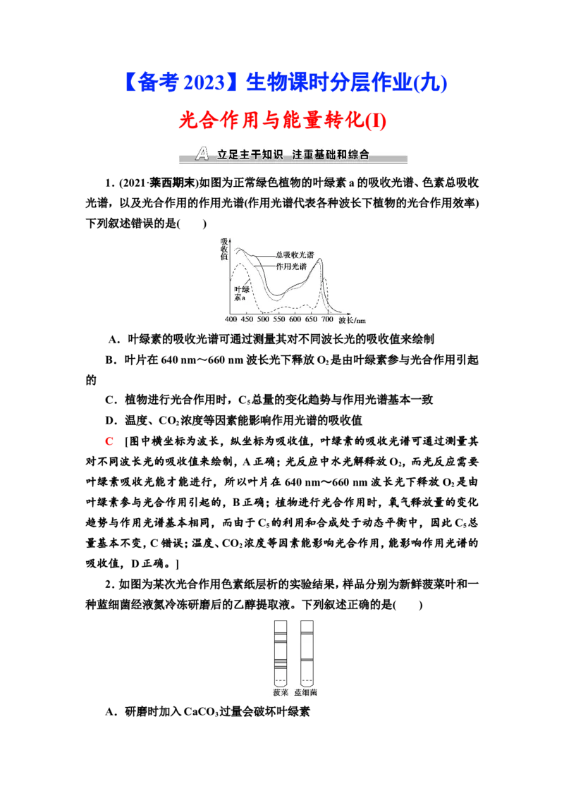 [13326482]备考2023生物课时分层作业9　光合作用与能量转化(Ⅰ)(含解析）_新高考复习资料_2023年新高考复习资料_专项复习_备考2023新高考生物课时分层作业