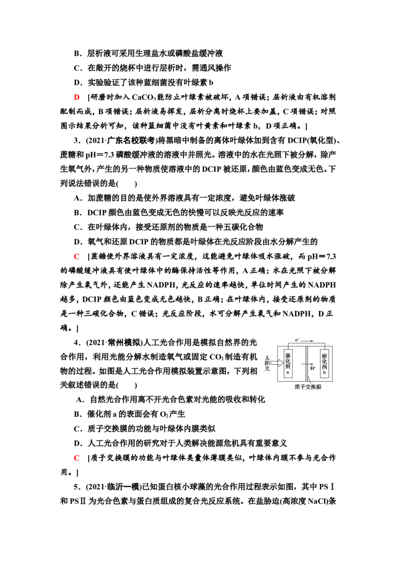 [13326482]备考2023生物课时分层作业9　光合作用与能量转化(Ⅰ)(含解析）_新高考复习资料_2023年新高考复习资料_专项复习_备考2023新高考生物课时分层作业