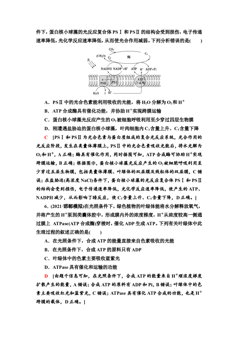 [13326482]备考2023生物课时分层作业9　光合作用与能量转化(Ⅰ)(含解析）_新高考复习资料_2023年新高考复习资料_专项复习_备考2023新高考生物课时分层作业