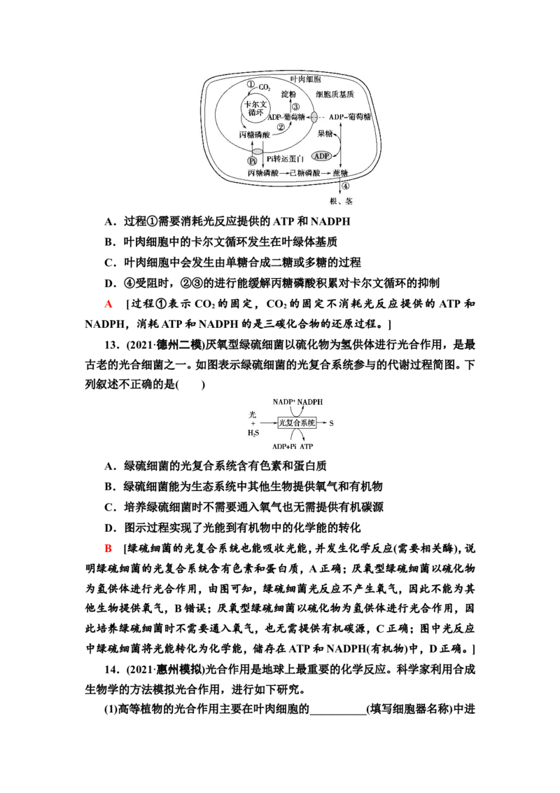 [13326482]备考2023生物课时分层作业9　光合作用与能量转化(Ⅰ)(含解析）_新高考复习资料_2023年新高考复习资料_专项复习_备考2023新高考生物课时分层作业