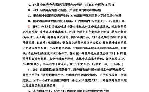 [13326482]备考2023生物课时分层作业9　光合作用与能量转化(Ⅰ)(含解析）_新高考复习资料_2023年新高考复习资料_专项复习_备考2023新高考生物课时分层作业