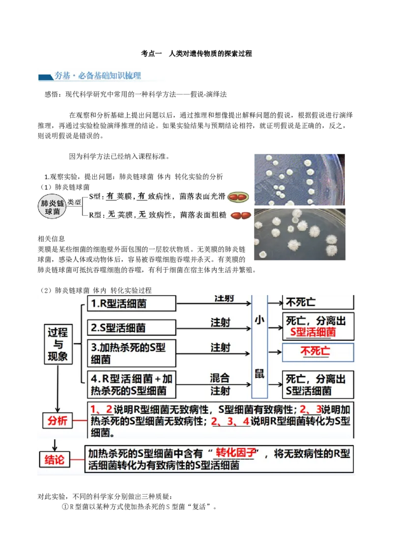 第20讲DNA是主要的遗传物质（讲义）（学生版）_2024年新高考资料_1.2024一轮复习_2024年高考生物一轮复习讲练测（新教材新高考）