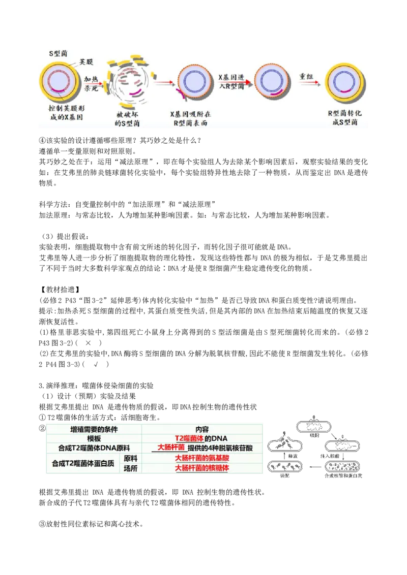 第20讲DNA是主要的遗传物质（讲义）（学生版）_2024年新高考资料_1.2024一轮复习_2024年高考生物一轮复习讲练测（新教材新高考）
