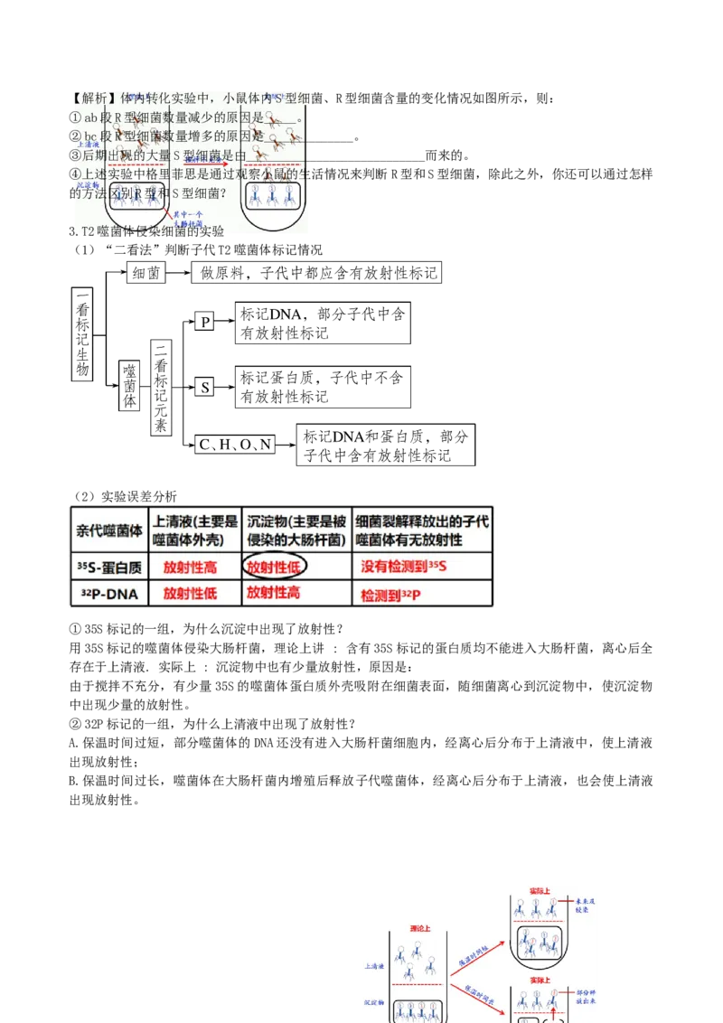 第20讲DNA是主要的遗传物质（讲义）（学生版）_2024年新高考资料_1.2024一轮复习_2024年高考生物一轮复习讲练测（新教材新高考）