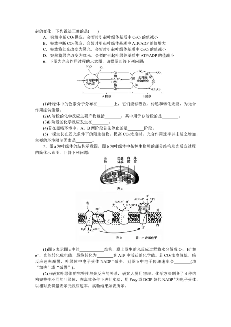 专练26　光合作用的过程_新高考复习资料_2023年新高考复习资料_专项复习_2023《微专题&middot;小练习》&middot;生物&middot;新教材&middot;XL-7