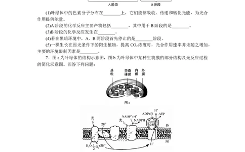 专练26　光合作用的过程_新高考复习资料_2023年新高考复习资料_专项复习_2023《微专题&middot;小练习》&middot;生物&middot;新教材&middot;XL-7