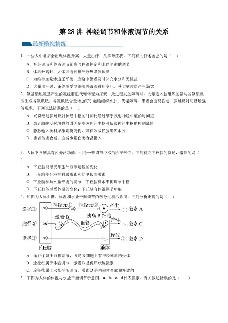 第28讲神经调节和体液调节的关系（练习）（原卷版）_2024年新高考资料_1.2024一轮复习_2024年高考生物一轮复习讲练测（新教材新高考）