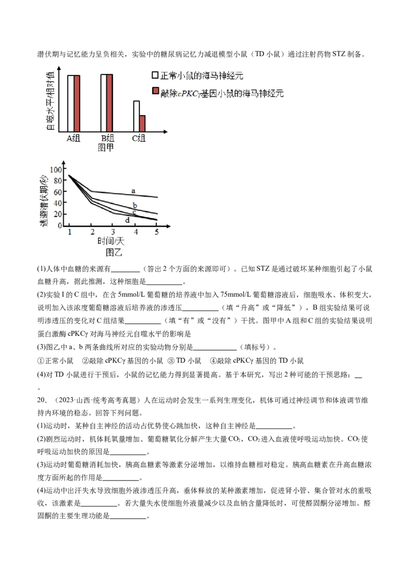 第28讲神经调节和体液调节的关系（练习）（原卷版）_2024年新高考资料_1.2024一轮复习_2024年高考生物一轮复习讲练测（新教材新高考）