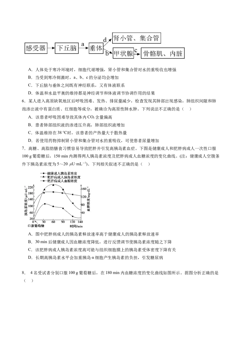 第28讲神经调节和体液调节的关系（练习）（原卷版）_2024年新高考资料_1.2024一轮复习_2024年高考生物一轮复习讲练测（新教材新高考）