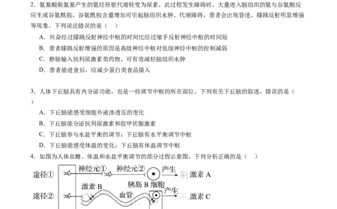 第28讲神经调节和体液调节的关系（练习）（原卷版）_2024年新高考资料_1.2024一轮复习_2024年高考生物一轮复习讲练测（新教材新高考）