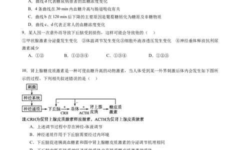 第28讲神经调节和体液调节的关系（练习）（原卷版）_2024年新高考资料_1.2024一轮复习_2024年高考生物一轮复习讲练测（新教材新高考）