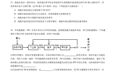 第28讲神经调节和体液调节的关系（练习）（原卷版）_2024年新高考资料_1.2024一轮复习_2024年高考生物一轮复习讲练测（新教材新高考）