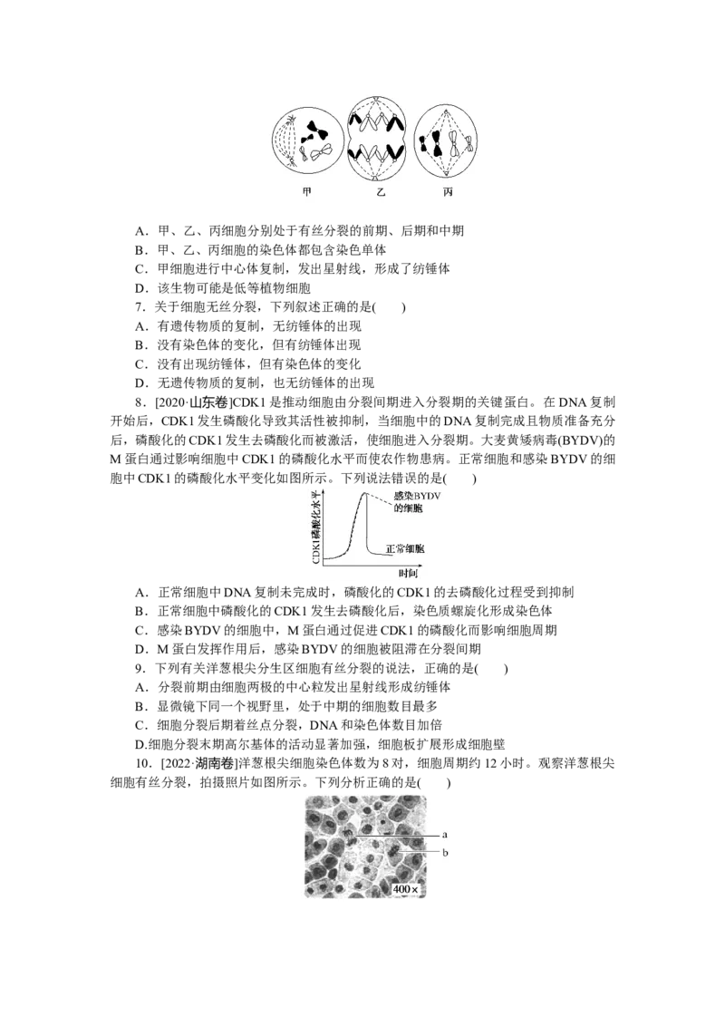 专练28　细胞的增殖_通用版（老高考）复习资料_2023年复习资料_专项复习_2023《微专题&middot;小练习》&middot;生物