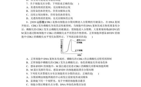 专练28　细胞的增殖_通用版（老高考）复习资料_2023年复习资料_专项复习_2023《微专题&middot;小练习》&middot;生物