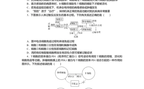 2025届高中生物学一轮复习检测案30　免疫调节（含解析）_2025年新高考资料_一轮复习_2025届高中生物学一轮复习分层复习检测(含解析)
