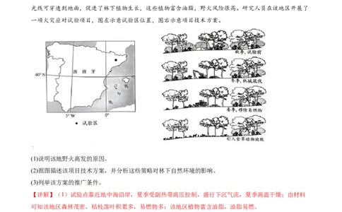 微专题森林火灾（讲义）（解析版）_2025年新高考资料_二轮复习_01高考语文等多个文件_上好课2025年高考地理二轮复习讲练测（新高考通用）_第一部分专题突破