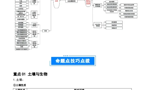 重难点07土壤生物与自然环境整体性和差异性（解析版）_2025年新高考资料_二轮复习_01高考语文等多个文件_2025年高三地理高考二轮复习专项提升_重点&middot;难点&middot;热点专练（分地区）_江苏专用