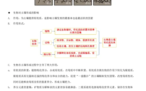 重难点07土壤生物与自然环境整体性和差异性（解析版）_2025年新高考资料_二轮复习_01高考语文等多个文件_2025年高三地理高考二轮复习专项提升_重点&middot;难点&middot;热点专练（分地区）_江苏专用