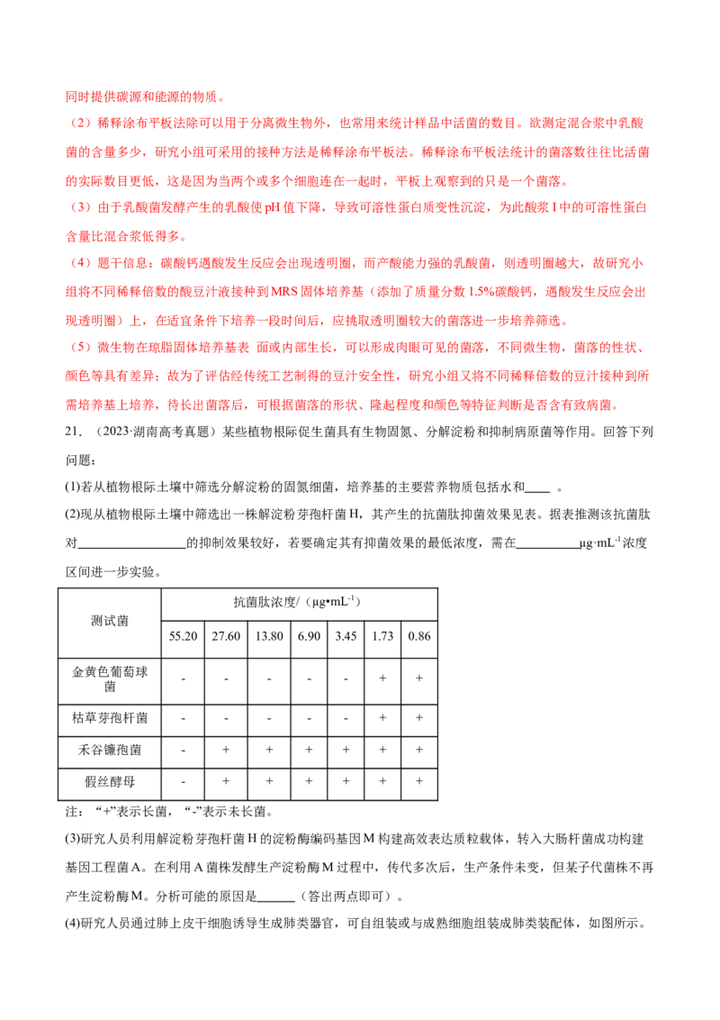 第16讲发酵工程（练习）（解析版）_2024年新高考资料_2.2024二轮复习_2024年高考生物二轮复习讲练测（新教材新高考）