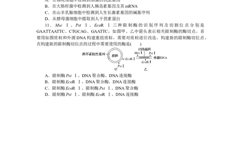 专练52　基因工程及其应用_通用版（老高考）复习资料_2023年复习资料_专项复习_2023《微专题&middot;小练习》&middot;生物