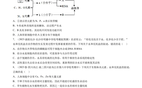 第2讲细胞中的元素和化合物（练习）（原卷版）_2024年新高考资料_1.2024一轮复习_2024年高考生物一轮复习讲练测（新教材新高考）