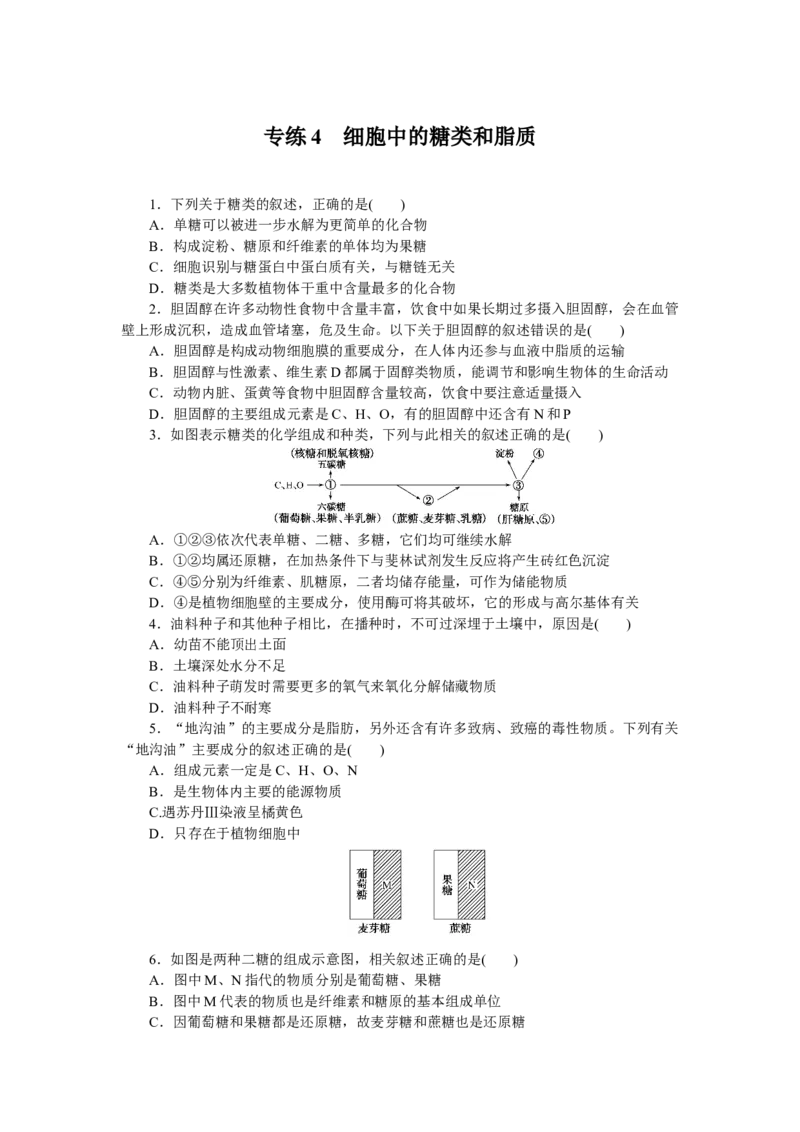 专练4　细胞中的糖类和脂质_新高考复习资料_2023年新高考复习资料_专项复习_2023《微专题&middot;小练习》&middot;生物&middot;新教材&middot;XL-7