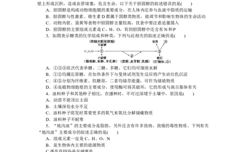 专练4　细胞中的糖类和脂质_新高考复习资料_2023年新高考复习资料_专项复习_2023《微专题&middot;小练习》&middot;生物&middot;新教材&middot;XL-7