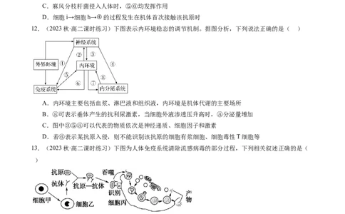 第29讲免疫调节（练习）（原卷版）_2024年新高考资料_1.2024一轮复习_2024年高考生物一轮复习讲练测（新教材新高考）