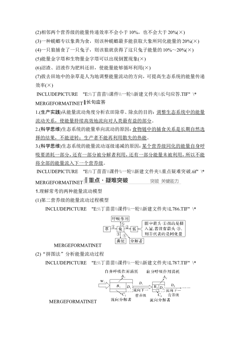 第29讲生态系统的结构与能量流动_2024年新高考资料_1.2024一轮复习_2024年高考生物一轮复习讲义（新人教版）_另附1套Word版题库_选择性必修2_第九单元生物与环境