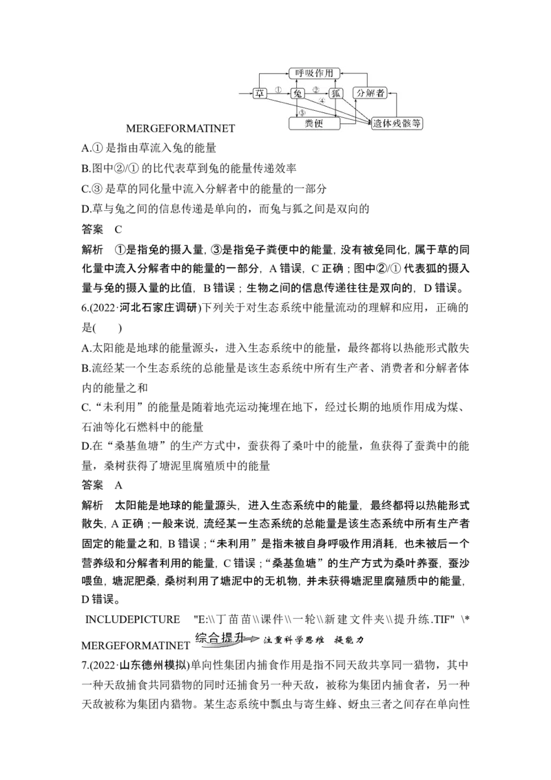 第29讲生态系统的结构与能量流动_2024年新高考资料_1.2024一轮复习_2024年高考生物一轮复习讲义（新人教版）_另附1套Word版题库_选择性必修2_第九单元生物与环境