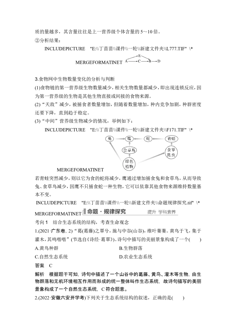 第29讲生态系统的结构与能量流动_2024年新高考资料_1.2024一轮复习_2024年高考生物一轮复习讲义（新人教版）_另附1套Word版题库_选择性必修2_第九单元生物与环境