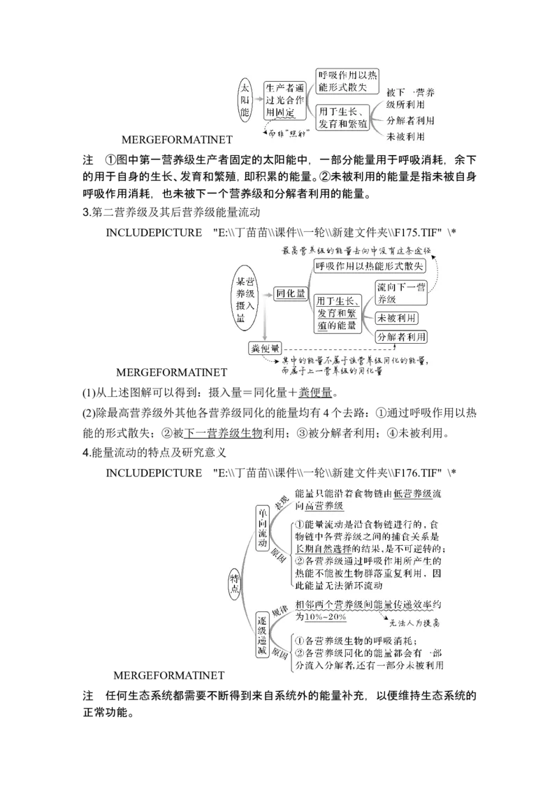 第29讲生态系统的结构与能量流动_2024年新高考资料_1.2024一轮复习_2024年高考生物一轮复习讲义（新人教版）_另附1套Word版题库_选择性必修2_第九单元生物与环境
