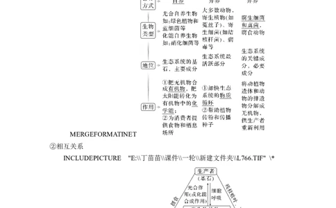第29讲生态系统的结构与能量流动_2024年新高考资料_1.2024一轮复习_2024年高考生物一轮复习讲义（新人教版）_另附1套Word版题库_选择性必修2_第九单元生物与环境