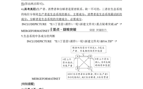 第29讲生态系统的结构与能量流动_2024年新高考资料_1.2024一轮复习_2024年高考生物一轮复习讲义（新人教版）_另附1套Word版题库_选择性必修2_第九单元生物与环境