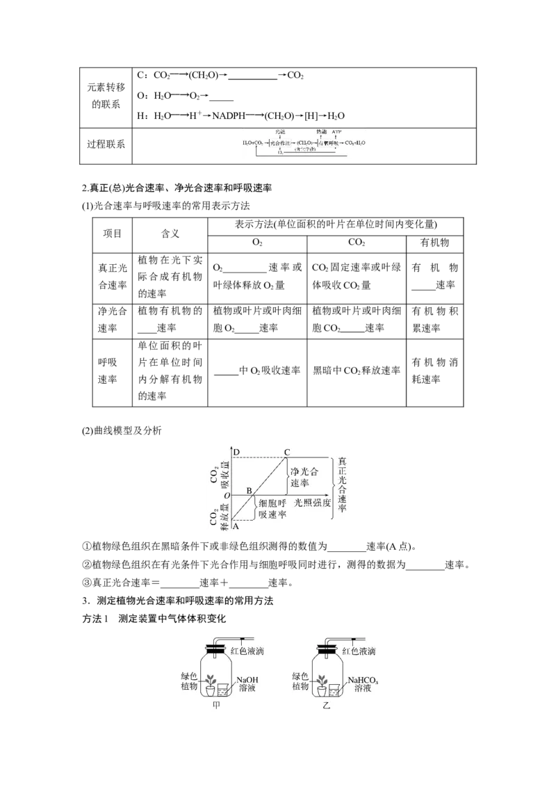 第3单元　第7课时　光合作用和细胞呼吸的综合分析_2024年新高考资料_1.2024一轮复习_2024年高考生物一轮复习讲义（新人教版）_学生版在此文件夹_大一轮复习讲义