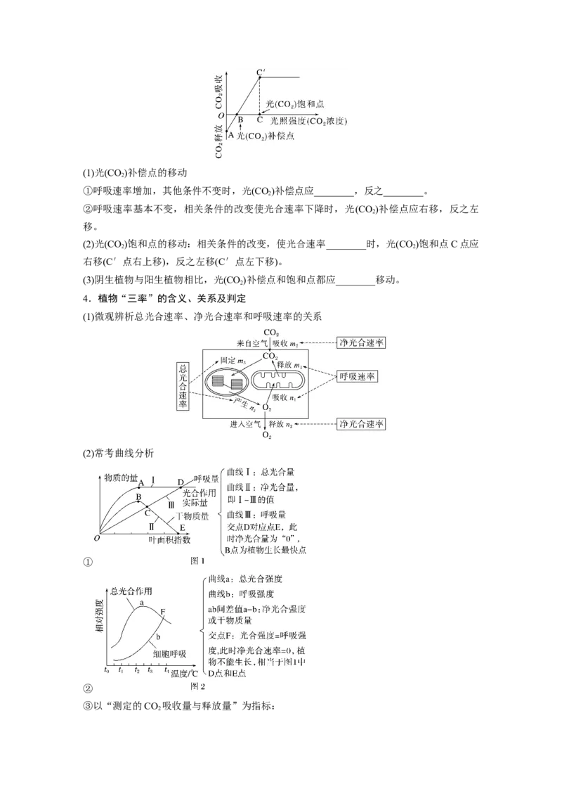 第3单元　第7课时　光合作用和细胞呼吸的综合分析_2024年新高考资料_1.2024一轮复习_2024年高考生物一轮复习讲义（新人教版）_学生版在此文件夹_大一轮复习讲义