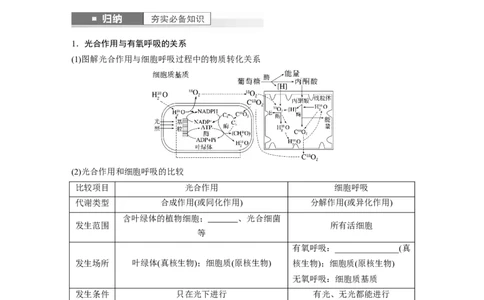 第3单元　第7课时　光合作用和细胞呼吸的综合分析_2024年新高考资料_1.2024一轮复习_2024年高考生物一轮复习讲义（新人教版）_学生版在此文件夹_大一轮复习讲义