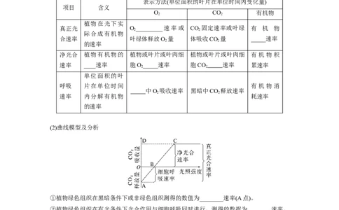 第3单元　第7课时　光合作用和细胞呼吸的综合分析_2024年新高考资料_1.2024一轮复习_2024年高考生物一轮复习讲义（新人教版）_学生版在此文件夹_大一轮复习讲义