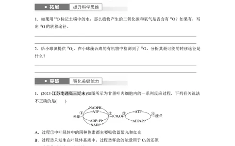 第3单元　第7课时　光合作用和细胞呼吸的综合分析_2024年新高考资料_1.2024一轮复习_2024年高考生物一轮复习讲义（新人教版）_学生版在此文件夹_大一轮复习讲义