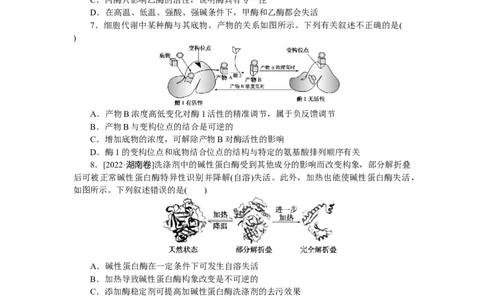 专练15　降低化学反应活化能的酶_通用版（老高考）复习资料_2023年复习资料_专项复习_2023《微专题&middot;小练习》&middot;生物