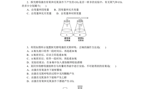 专练20　探究酵母菌细胞呼吸的方式_新高考复习资料_2023年新高考复习资料_专项复习_2023《微专题&middot;小练习》&middot;生物&middot;新教材&middot;XL-7