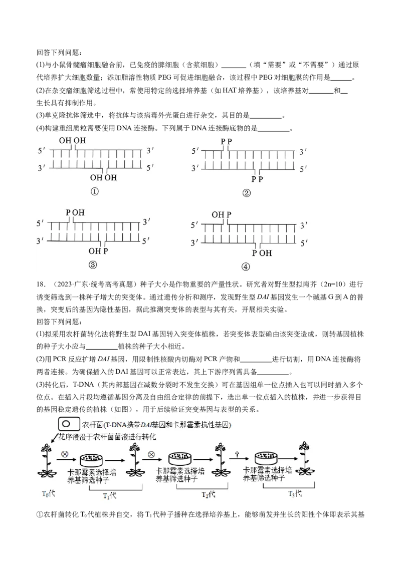 第43讲基因工程（练习）（原卷版）_2024年新高考资料_1.2024一轮复习_2024年高考生物一轮复习讲练测（新教材新高考）