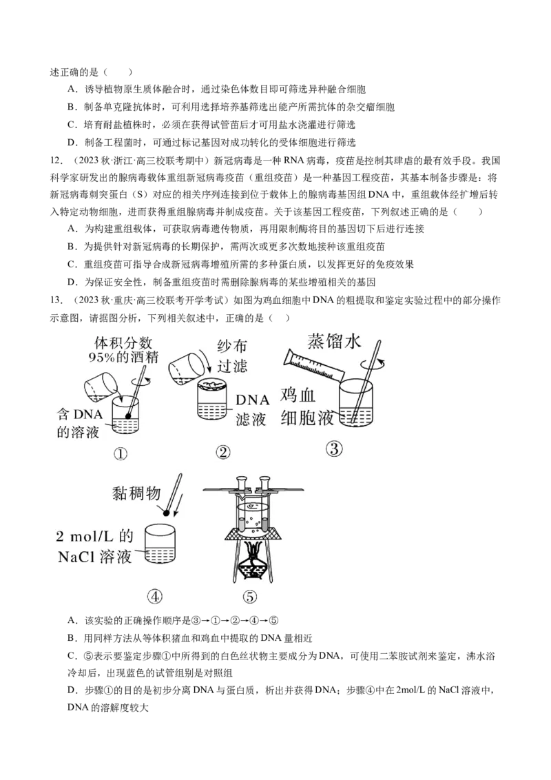 第43讲基因工程（练习）（原卷版）_2024年新高考资料_1.2024一轮复习_2024年高考生物一轮复习讲练测（新教材新高考）
