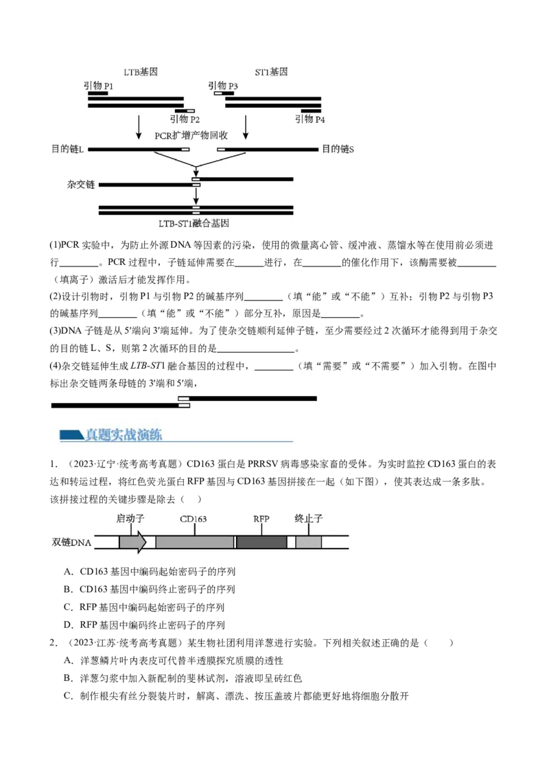第43讲基因工程（练习）（原卷版）_2024年新高考资料_1.2024一轮复习_2024年高考生物一轮复习讲练测（新教材新高考）