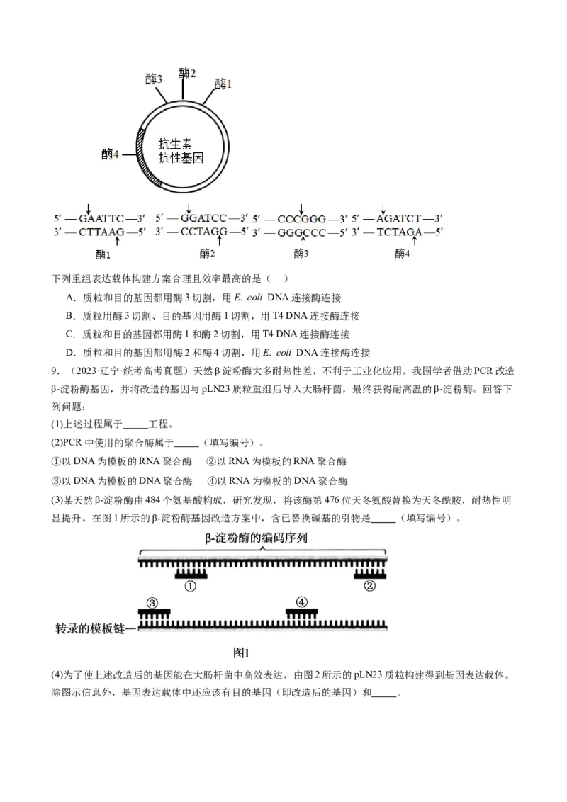第43讲基因工程（练习）（原卷版）_2024年新高考资料_1.2024一轮复习_2024年高考生物一轮复习讲练测（新教材新高考）