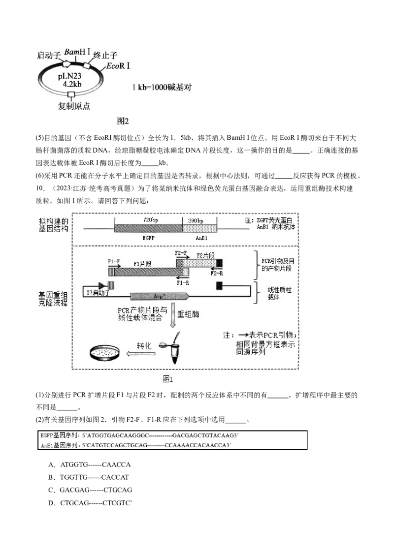 第43讲基因工程（练习）（原卷版）_2024年新高考资料_1.2024一轮复习_2024年高考生物一轮复习讲练测（新教材新高考）