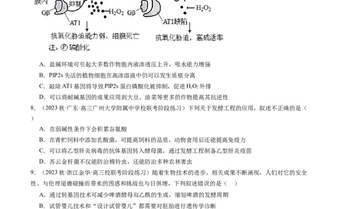第43讲基因工程（练习）（原卷版）_2024年新高考资料_1.2024一轮复习_2024年高考生物一轮复习讲练测（新教材新高考）