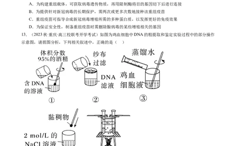 第43讲基因工程（练习）（原卷版）_2024年新高考资料_1.2024一轮复习_2024年高考生物一轮复习讲练测（新教材新高考）