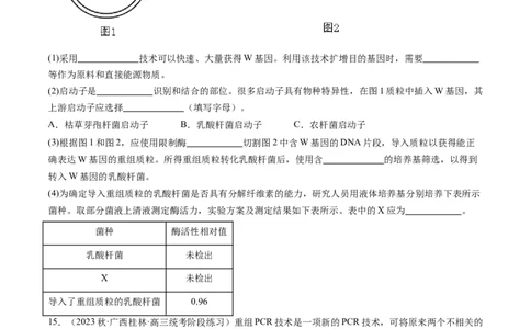 第43讲基因工程（练习）（原卷版）_2024年新高考资料_1.2024一轮复习_2024年高考生物一轮复习讲练测（新教材新高考）